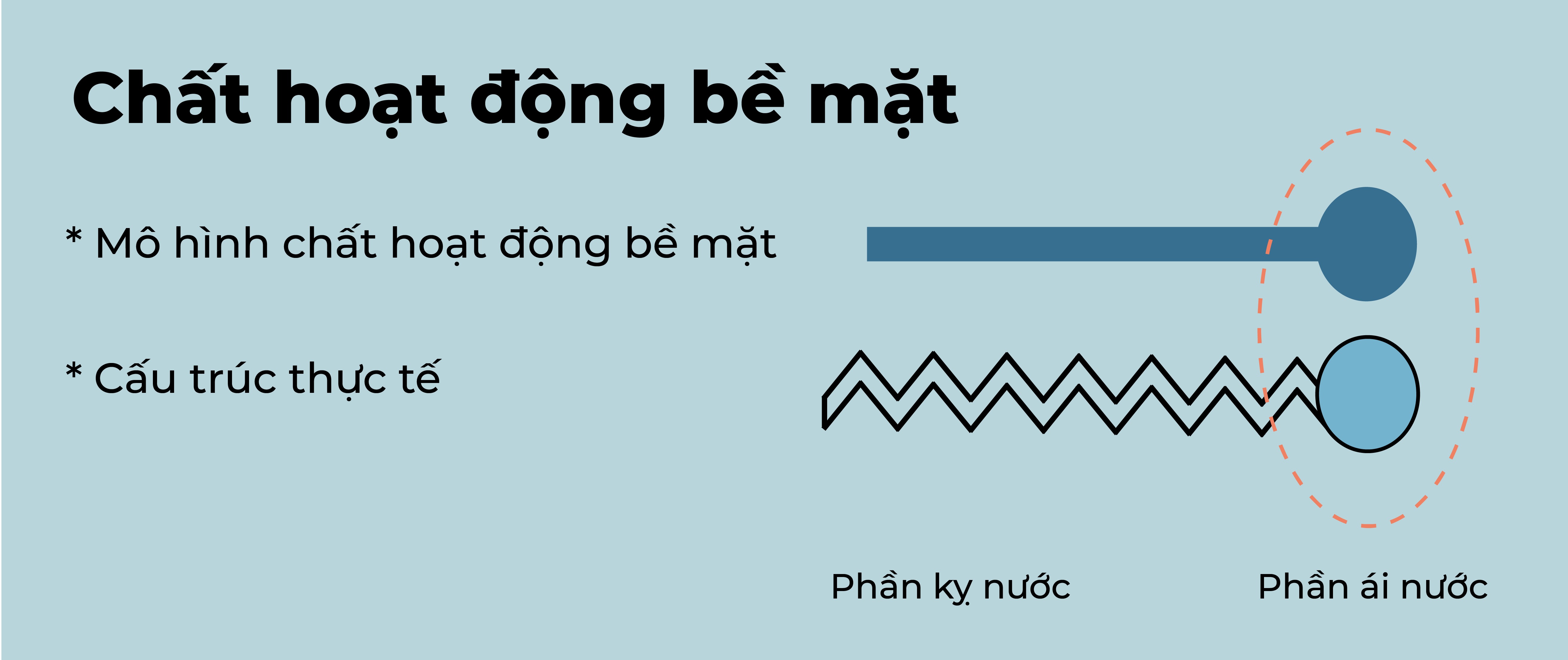 Cấu tạo và cơ chế hoạt động của chất hoạt động bề mặt 